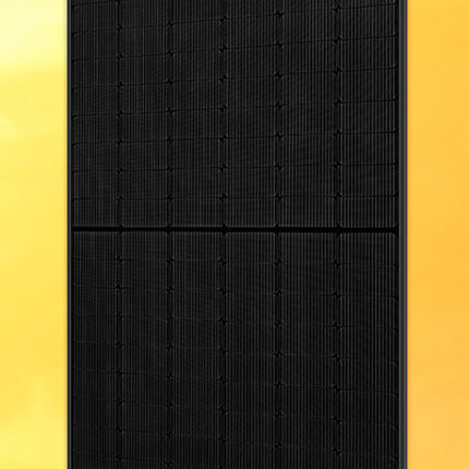 REC TwinPeak 4 Series 365W All Black