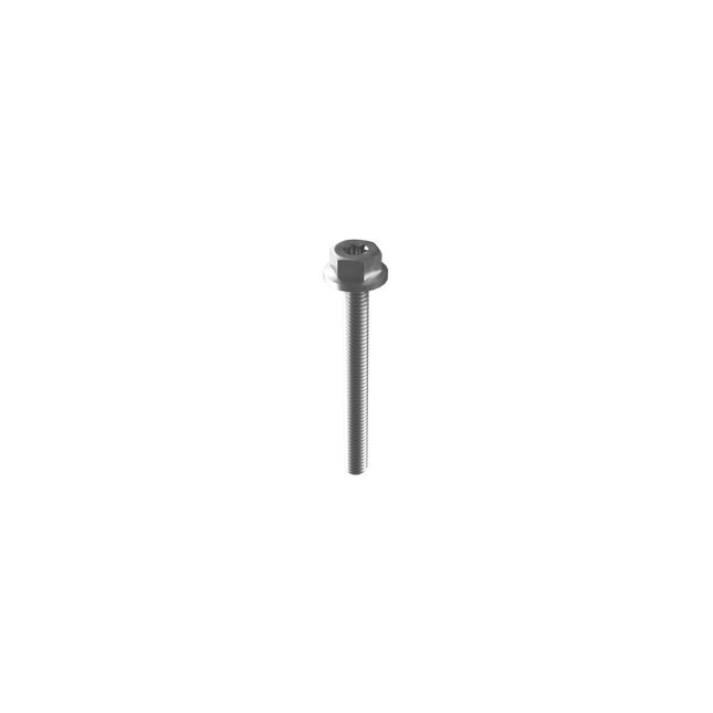 Mounting screw M6 x 55 mm-Powerland